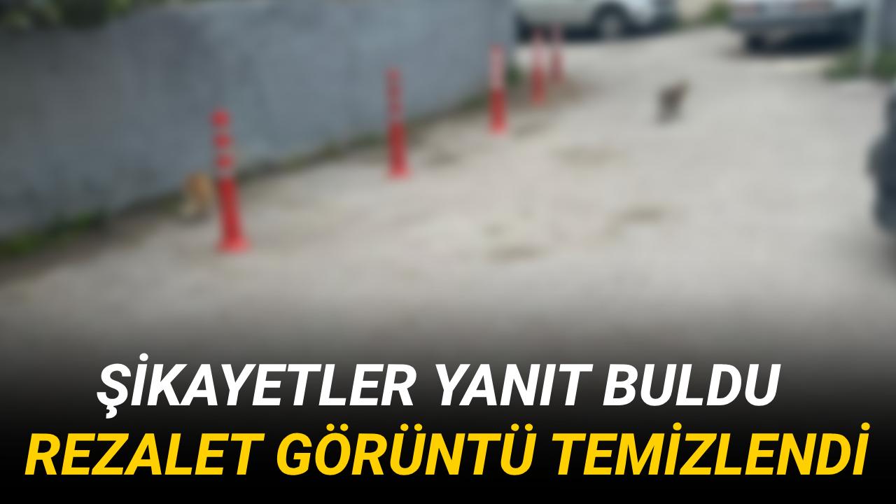 Haberimiz ses getirdi: O sokak temizlendi