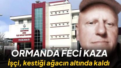 Kestiği ağacın altında kalan işçi hayatını kaybetti