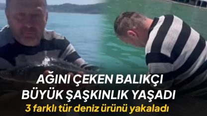 Neye niyet neye kısmet! Ağdan çıkanlar şaşırttı