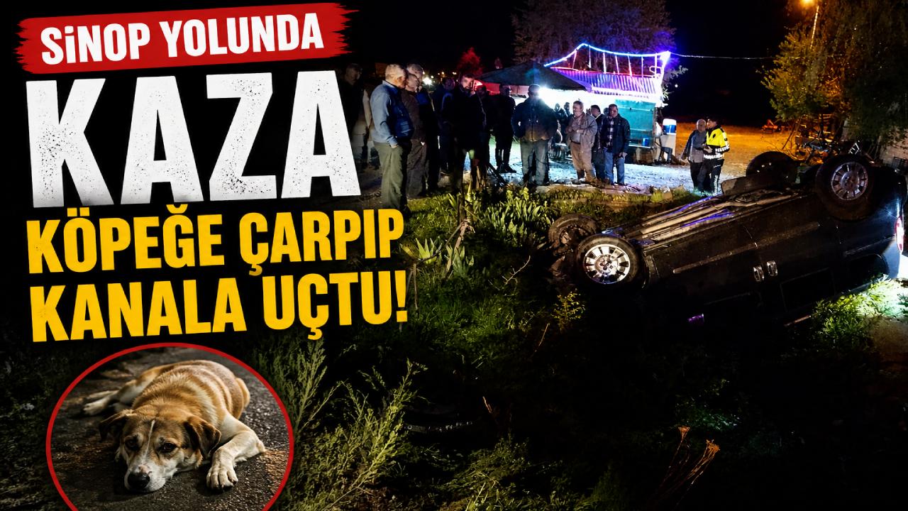 Sinop yolunda köpeğe çarpan otomobil kanala uçtu