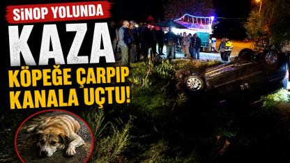 Sinop yolunda köpeğe çarpan otomobil kanala uçtu