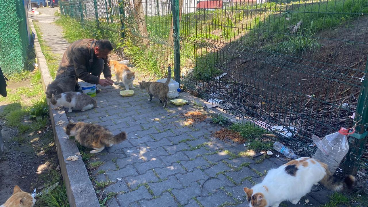 Sinop’ta yürek ısıtan iyilik