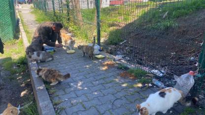 Sinop’ta yürek ısıtan iyilik