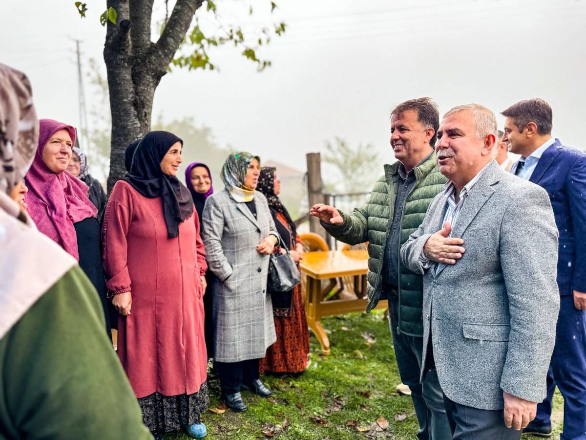 Milletvekili Maviş, Türkeli ilçesindeki grup yolunu inceledi