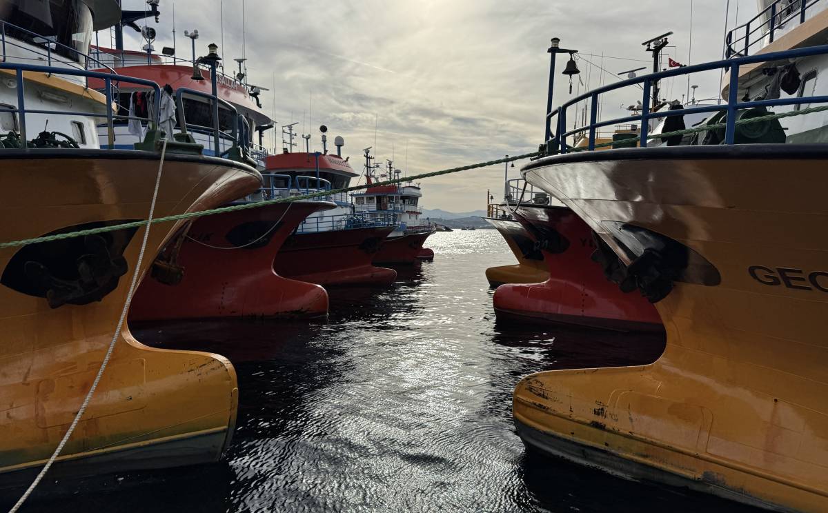 Hamsi sezonu başladı, Sinop limanı av tekneleriyle dolup taşıyor