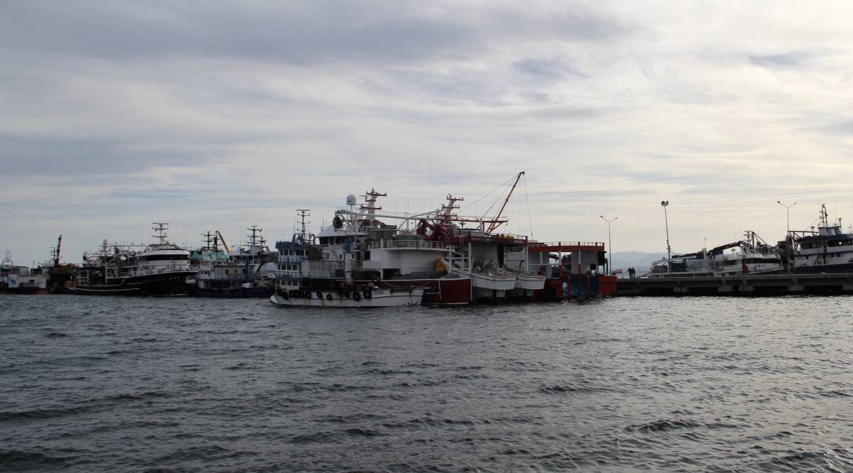 Hamsi sezonu başladı, Sinop limanı av tekneleriyle dolup taşıyor