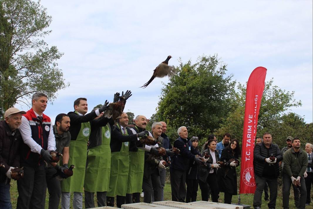 Doğaya kanat çırptılar