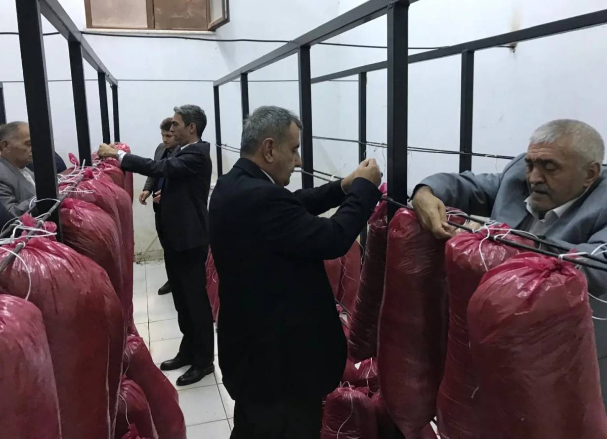 Huzurevi sakinleri hasat heyecanında