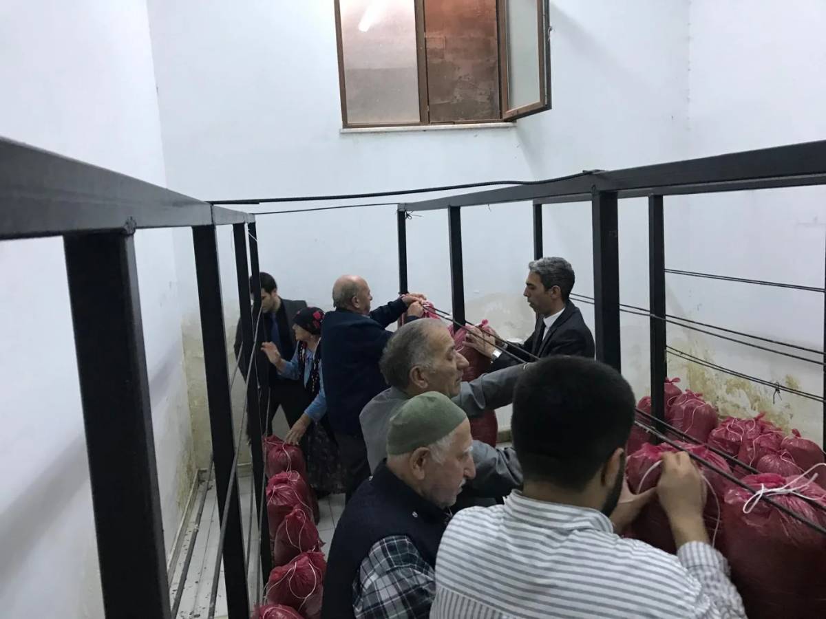 Huzurevi sakinleri hasat heyecanında