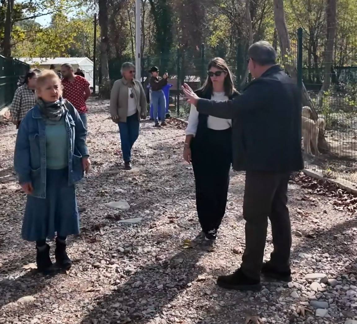 Gerze Belediyesi Barınağı, çevre dostlarından tam not aldı