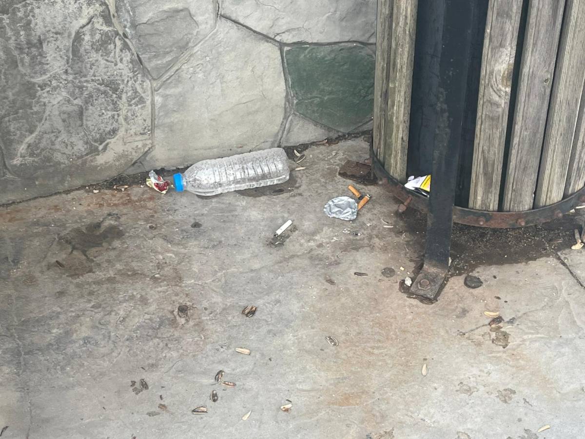 Bu kareler mutlu şehir Sinop’a yakışmıyor