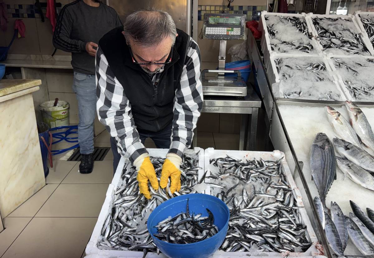 Sinop'ta tezgahlar hamsiyle doldu taştı! Fiyatı yüz güldürüyor