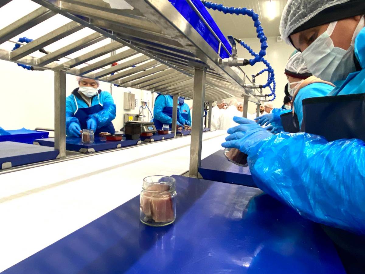 Sinop Lakerda tesisi tanıtıldı