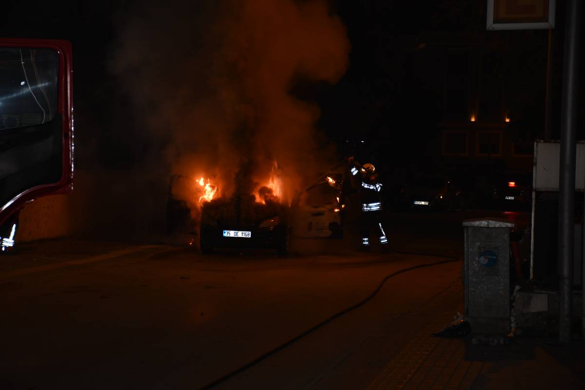 Park halindeki otomobil cayır cayır yandı