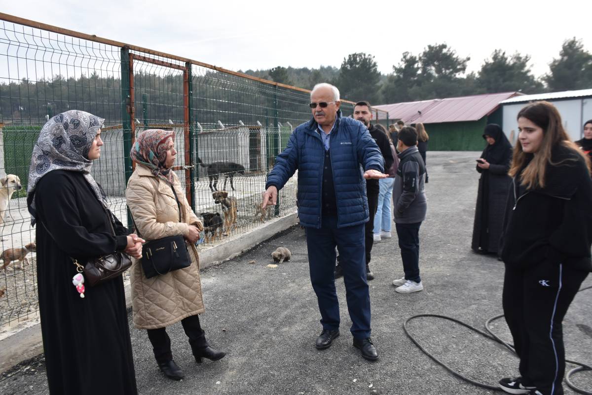 Hayvanseverlerden can dostlara ziyaret