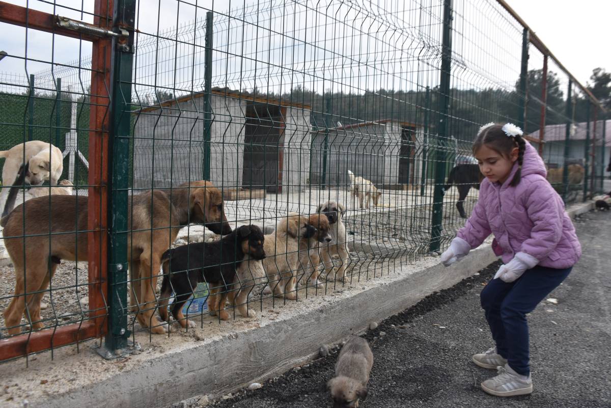 Hayvanseverlerden can dostlara ziyaret