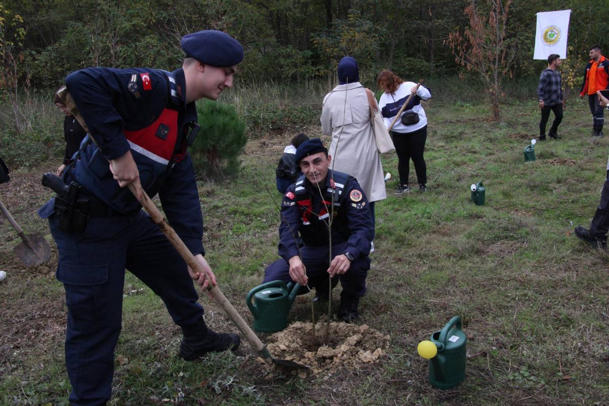 Gerze’de şehit orman görevlileri anısına fidan dikildi