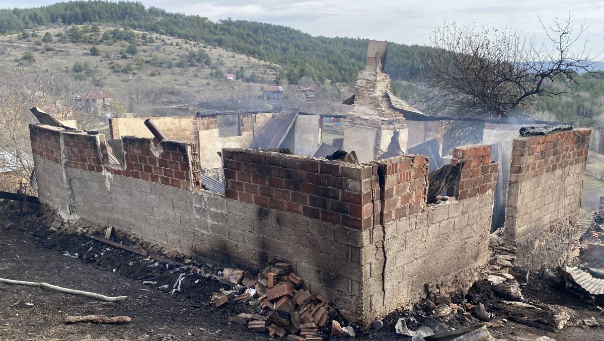 Yaşlı adam yanarak can verdi