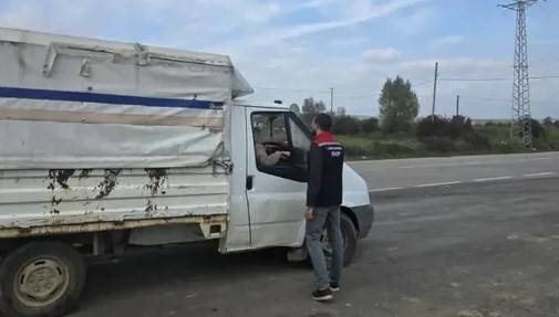 Sinop'ta hayvan nakillerine Jandarmalı kontrol