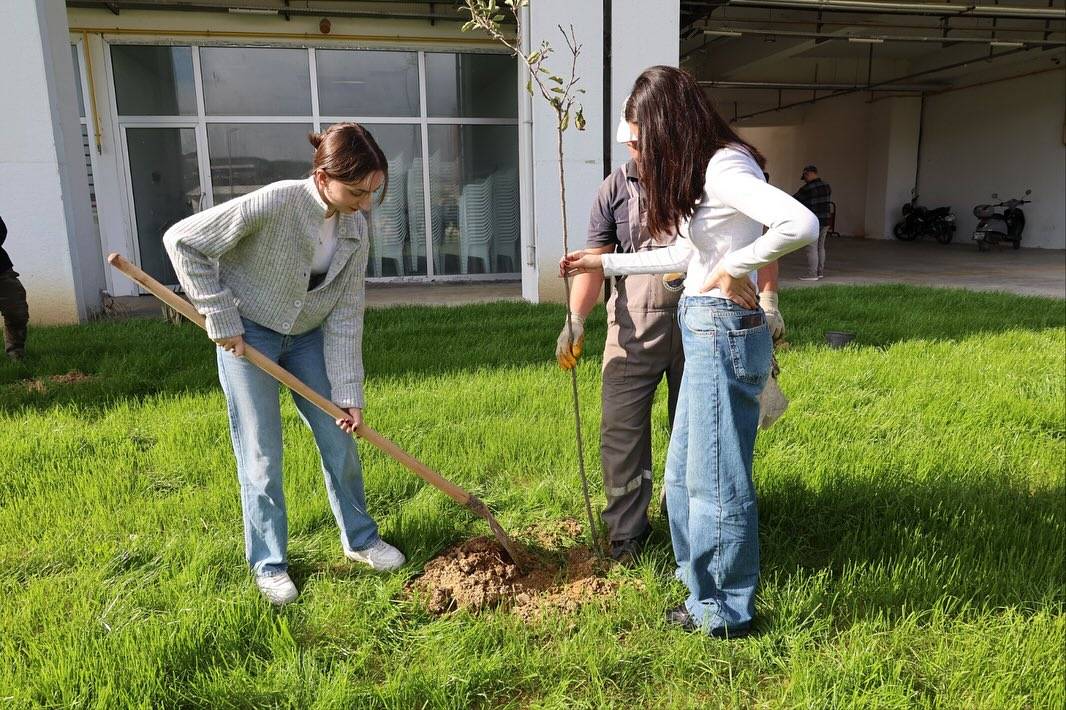 Sinop Üniversitesi’nde 150 fidan dikildi