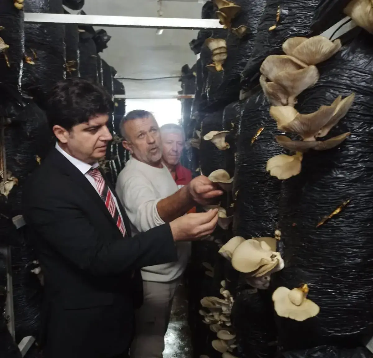 Sinop’ta mantar yetiştiriciliği eğitimi verildi