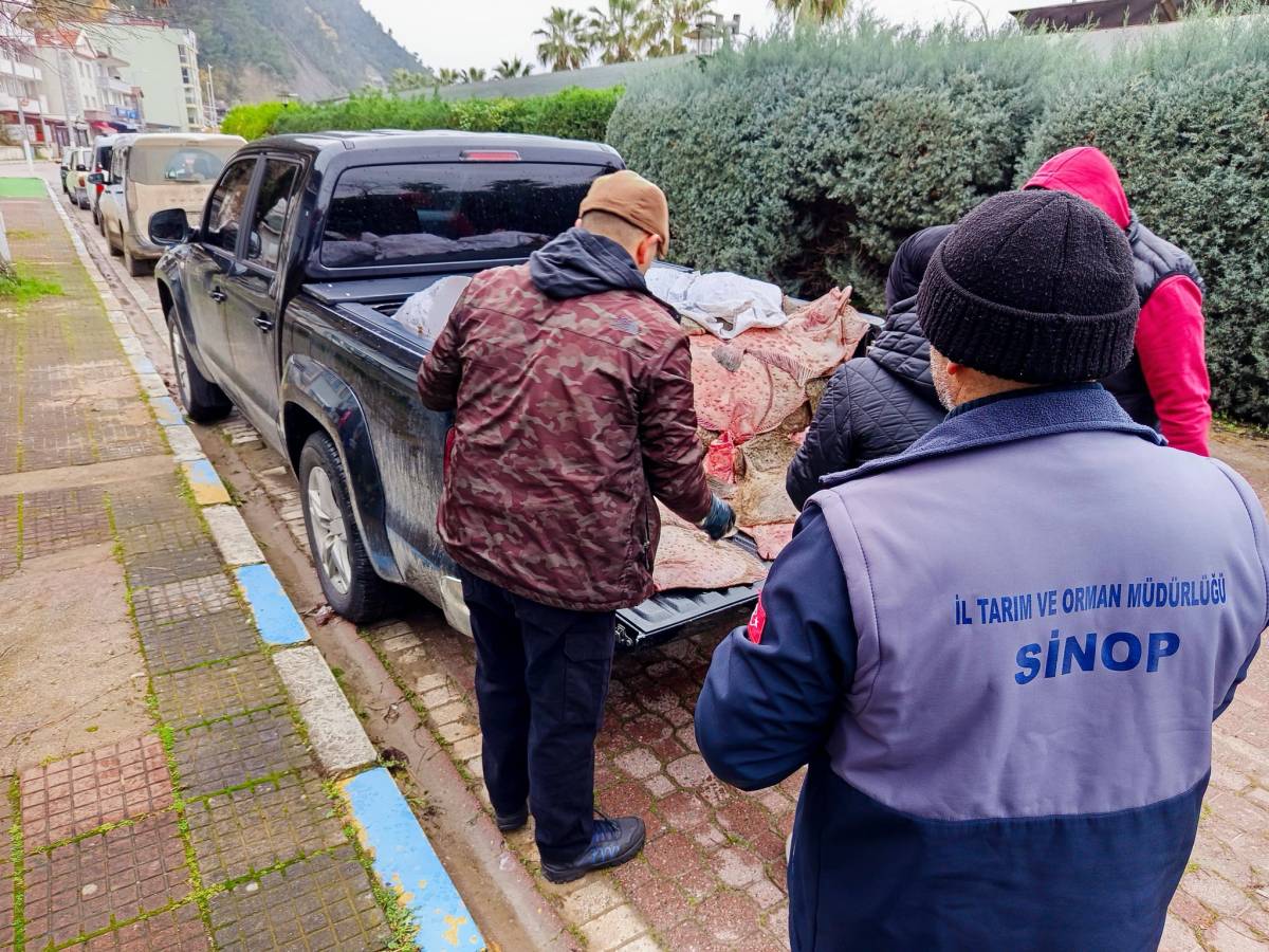 Sinop’ta kaçak avcılara darbe