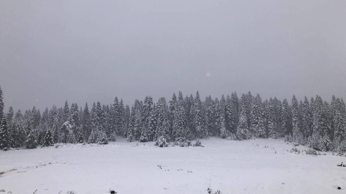 Sinop'un yüksek kesimleri beyaza büründü