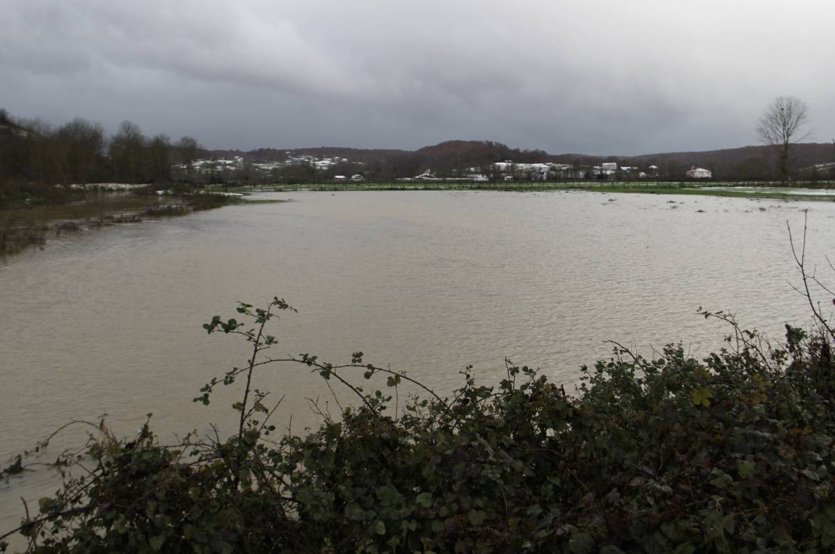 Sinop'ta tarım arazileri su altında kaldı