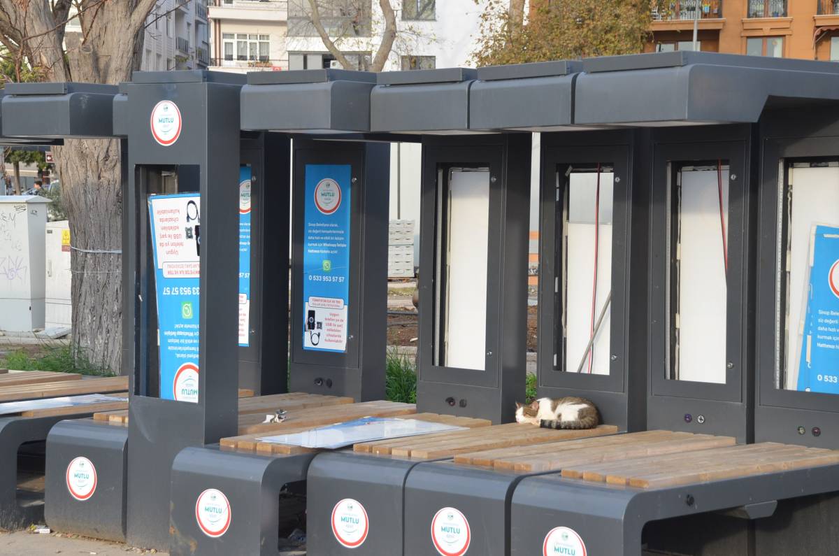 Deniz havasına dayanamadı