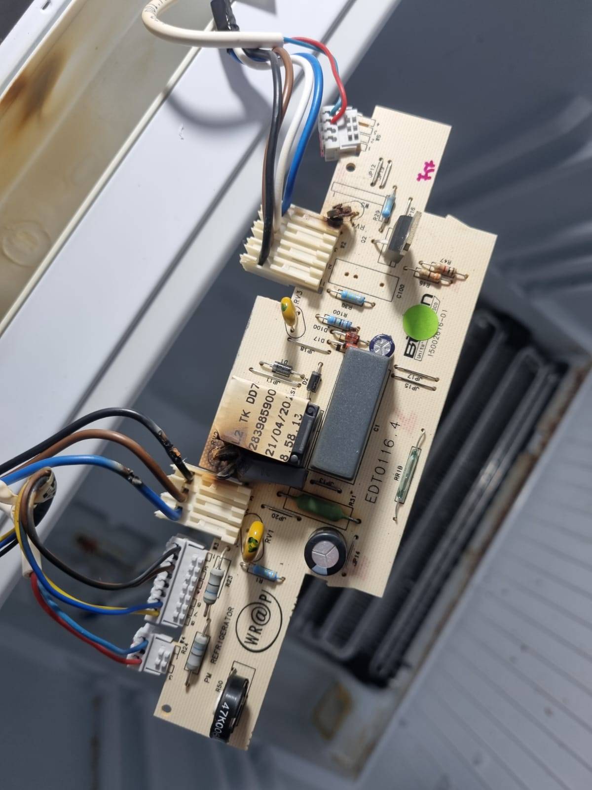 Herkesin bir mesleği olmalı