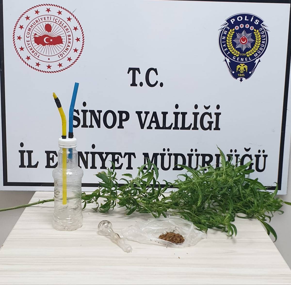 Sinop'ta uyuşturucu operasyonları: 11 gözaltı