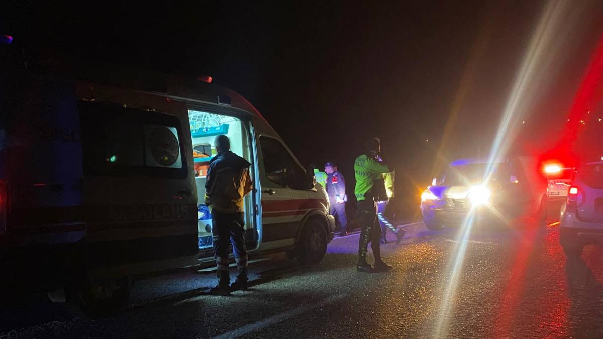 Sinop'ta hafif ticari araç domuz sürüsüne çarptı: 1 yaralı