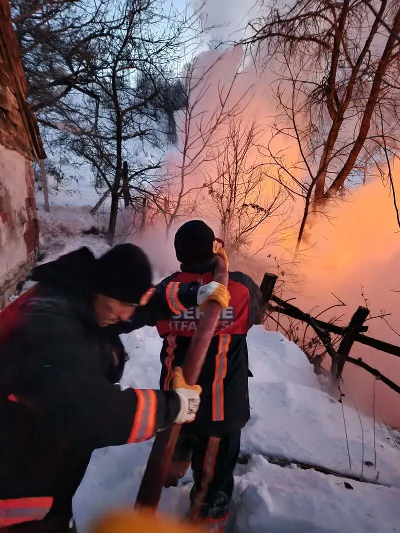Sinop'ta ahır yangını faciası: 9 büyükbaş hayvan telef oldu