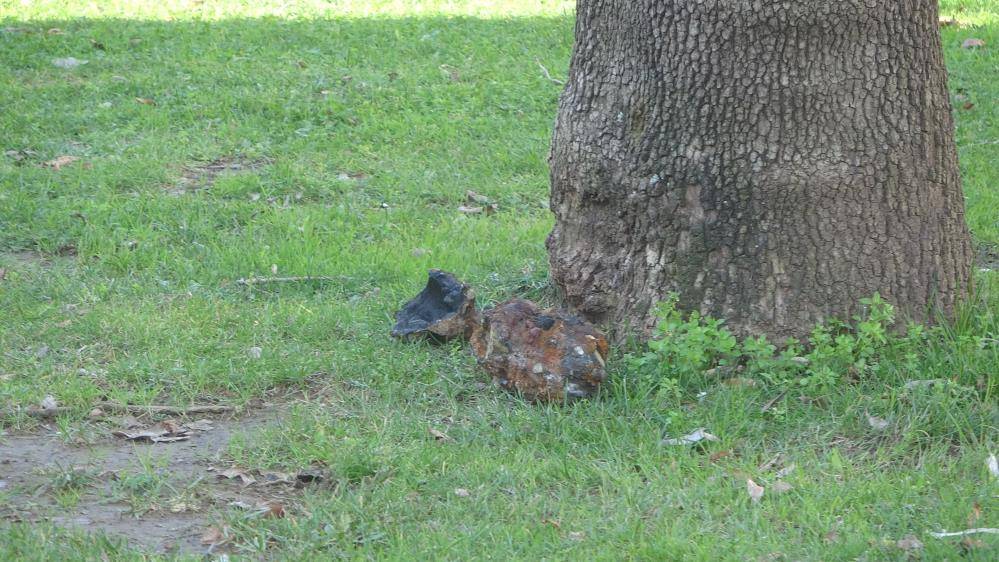 Parkta bulunan askeri mühimmat ekipleri harekete geçirdi