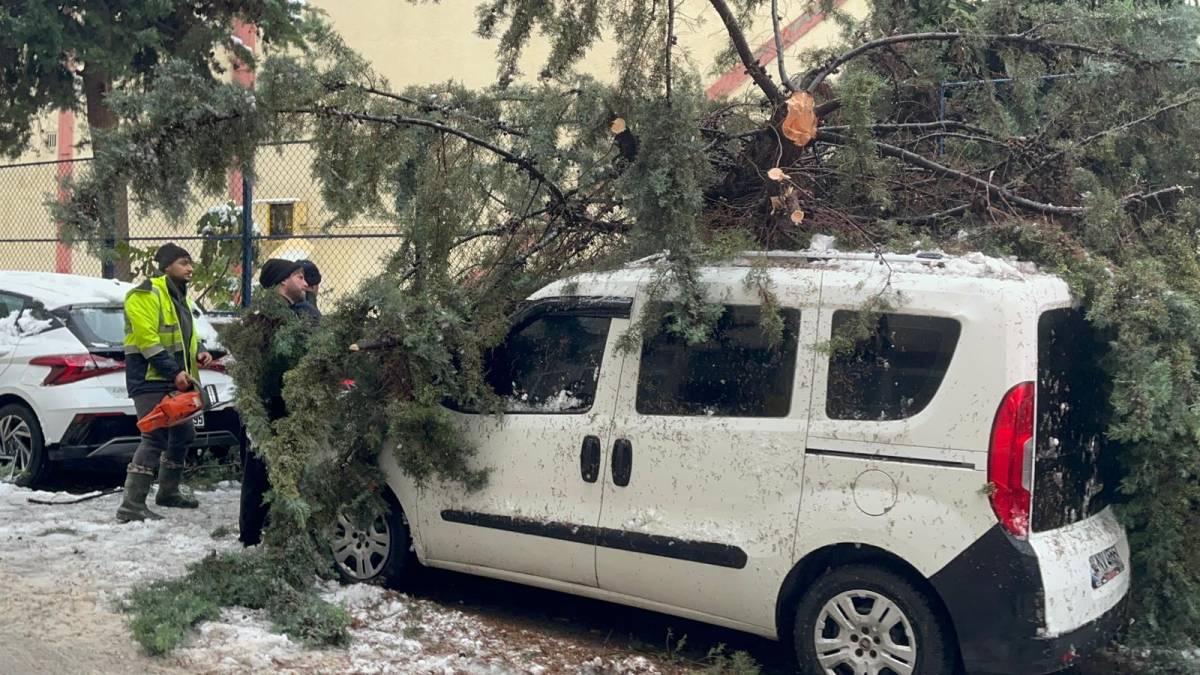 Sinop'ta panik anları! Dışarıdan gelen ses vatandaşlara korku yaşattı