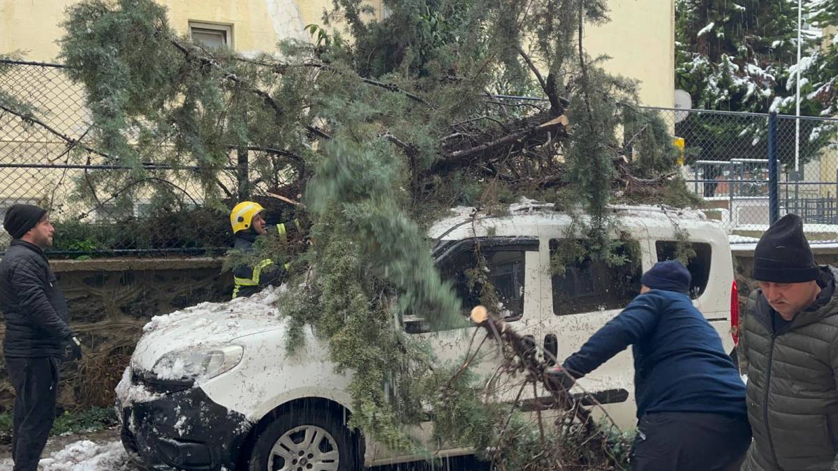 Sinop'ta panik anları! Dışarıdan gelen ses vatandaşlara korku yaşattı