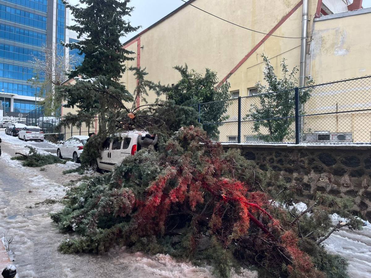 Sinop'ta panik anları! Dışarıdan gelen ses vatandaşlara korku yaşattı