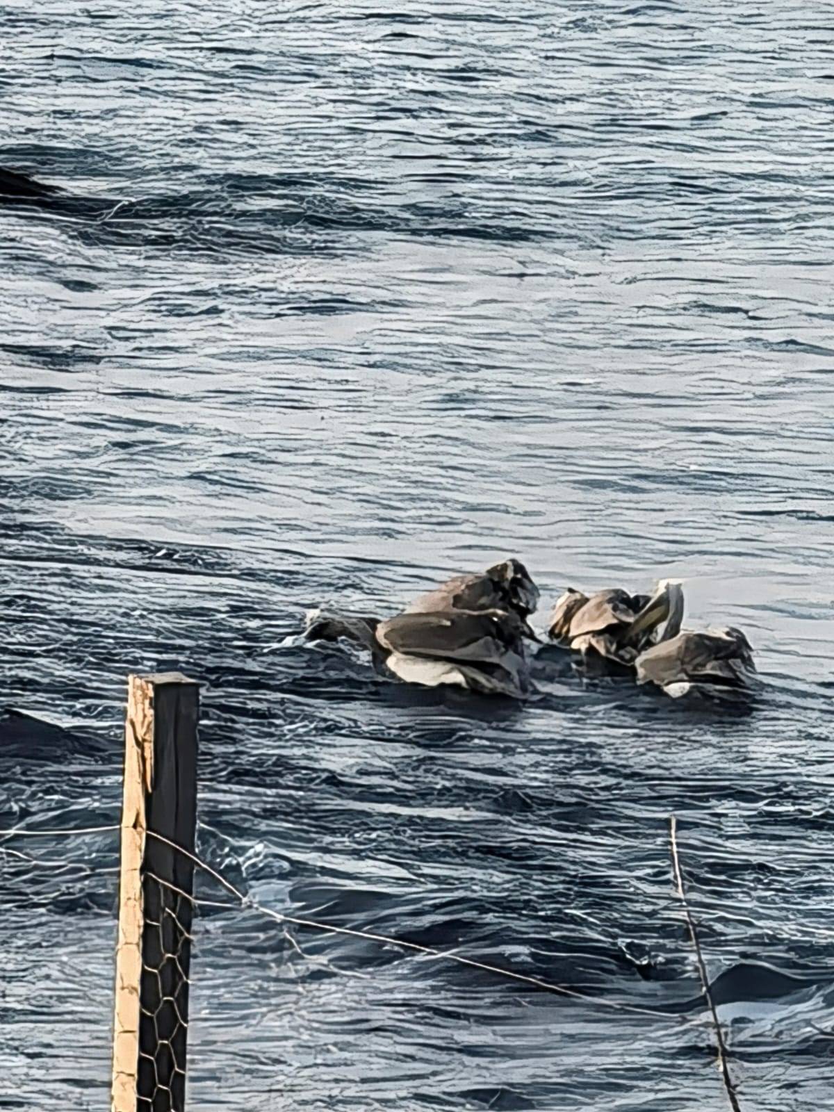 Sinop'ta objektiflere böyle yansıdı! Sahilde yürüyenler gözlerine inanamadı