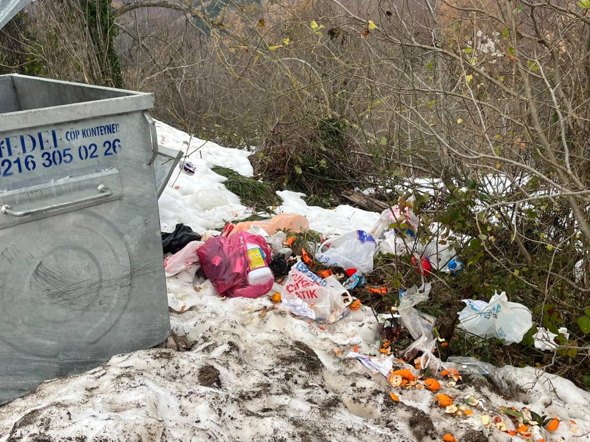 Devrilen konteynır ormanı çöpe boğdu