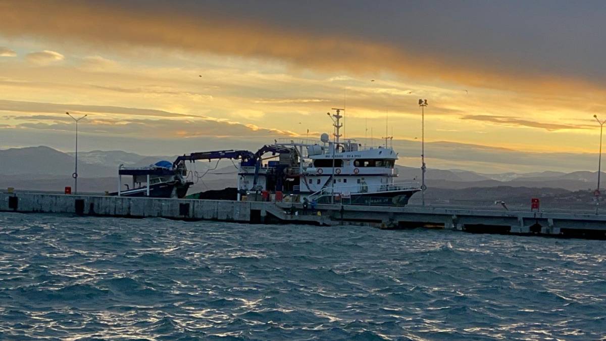 Dev gemiler doğal limana teslim