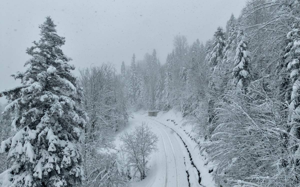 Sinop'ta kar etkili oluyor