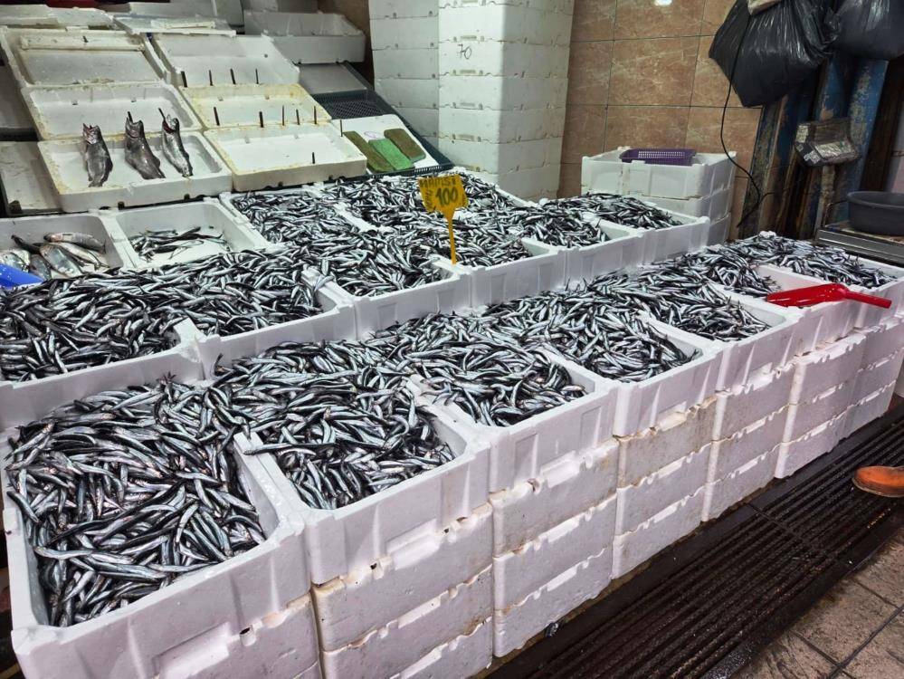 Karadeniz'de hamsi bereketi: Tezgahlar iri hamsiyle doldu
