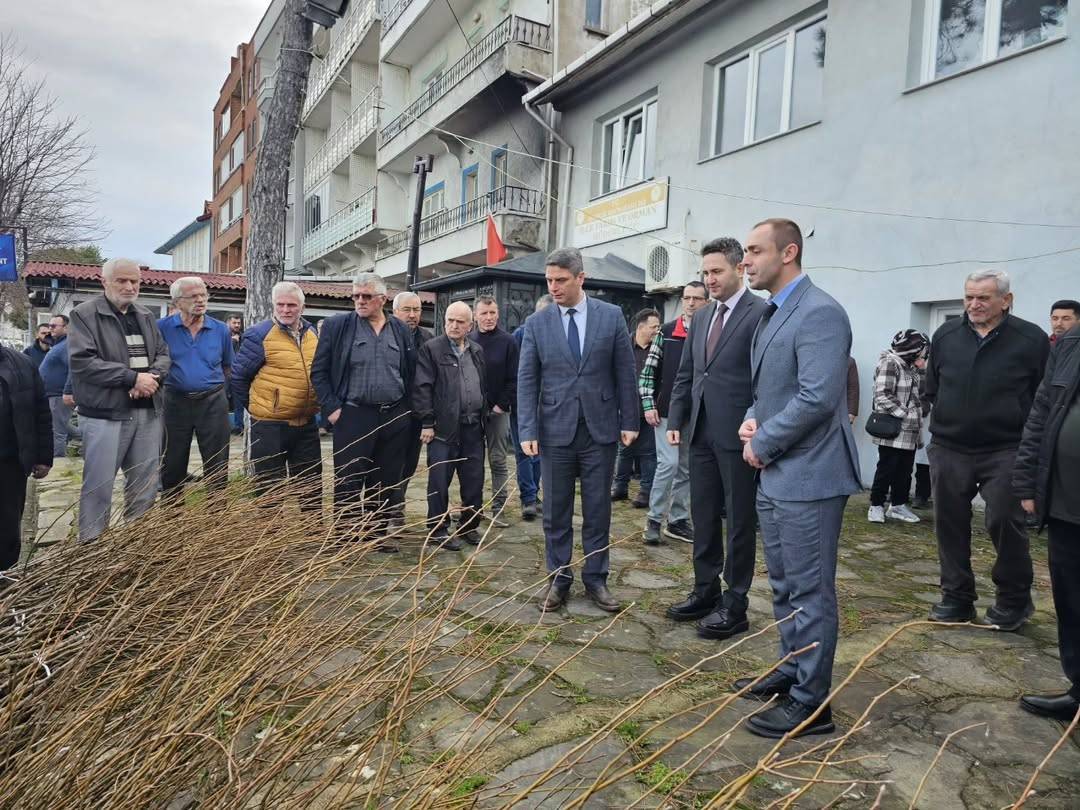 Sinop’ta Fırıncık Armudu için 900 fidan dağıtıldı