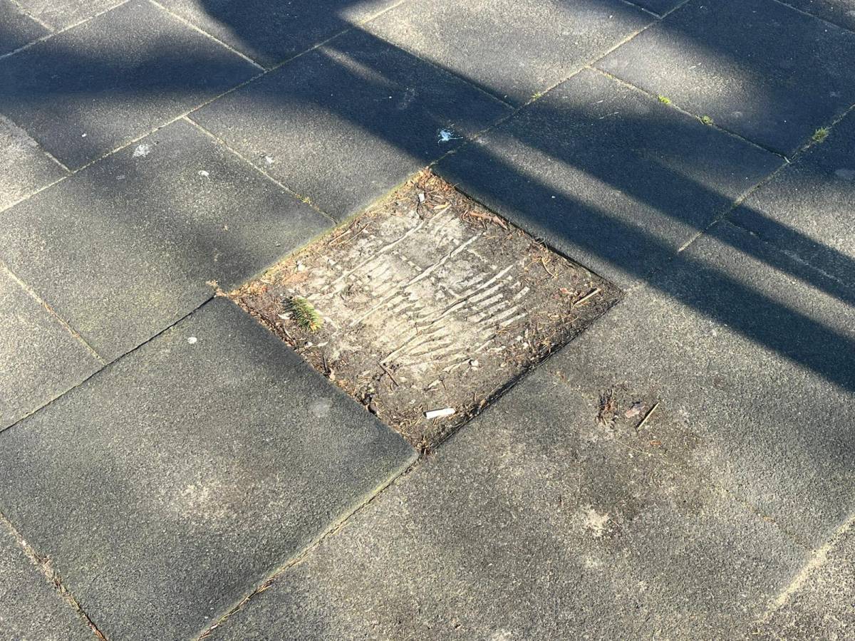 Barış Manço Parkı SOS veriyor