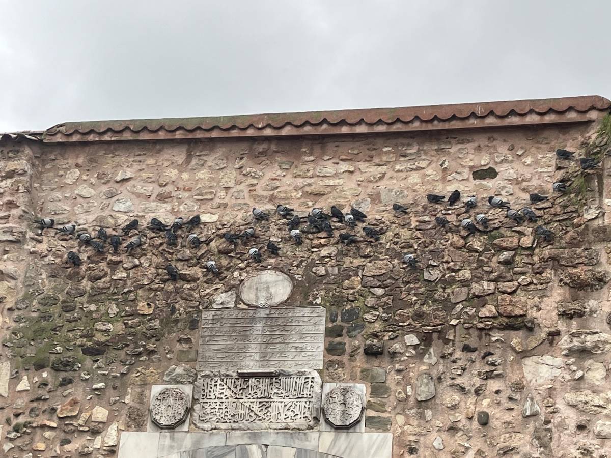 Tarihi kapıda kanatlı safı