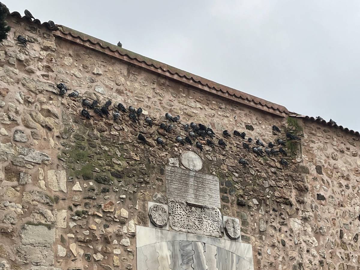 Tarihi kapıda kanatlı safı