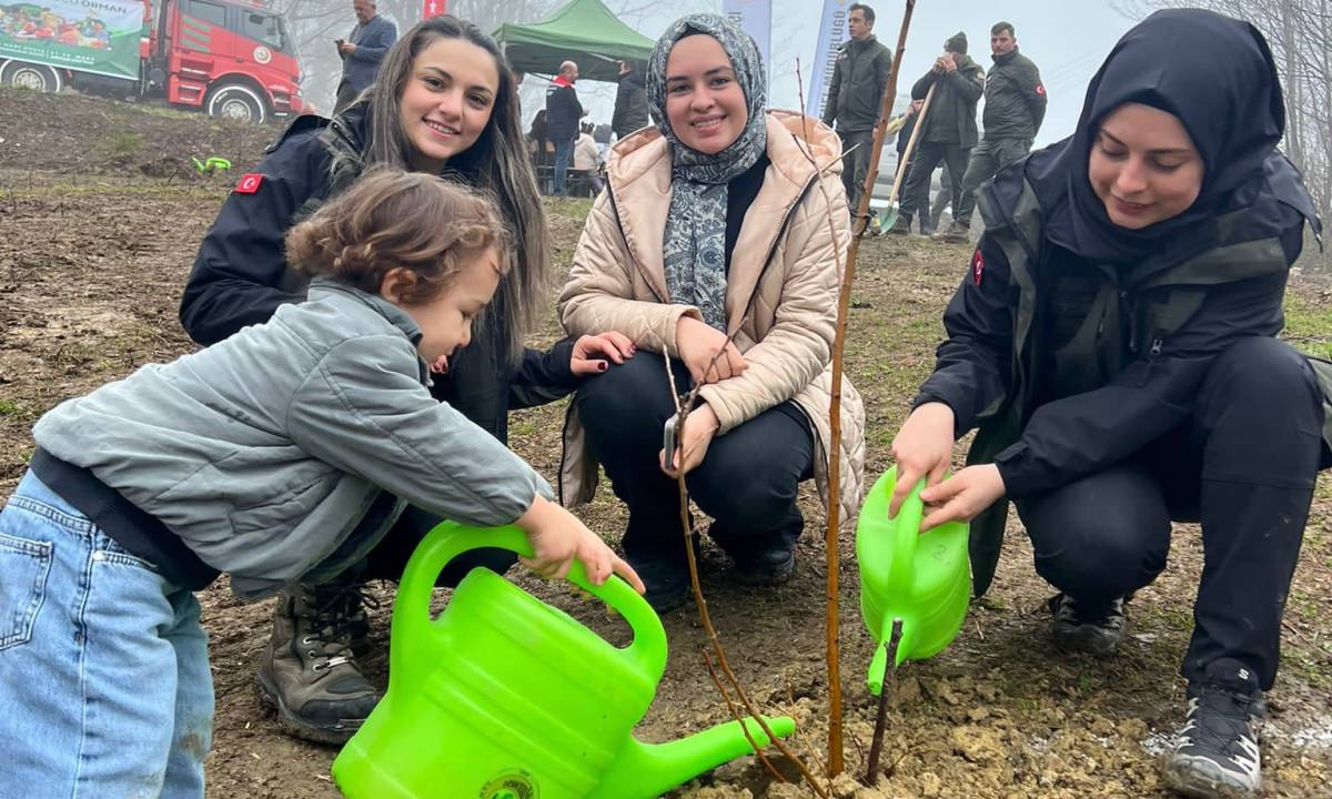 Türkeli'de fidanlar toprakla buluşturuldu