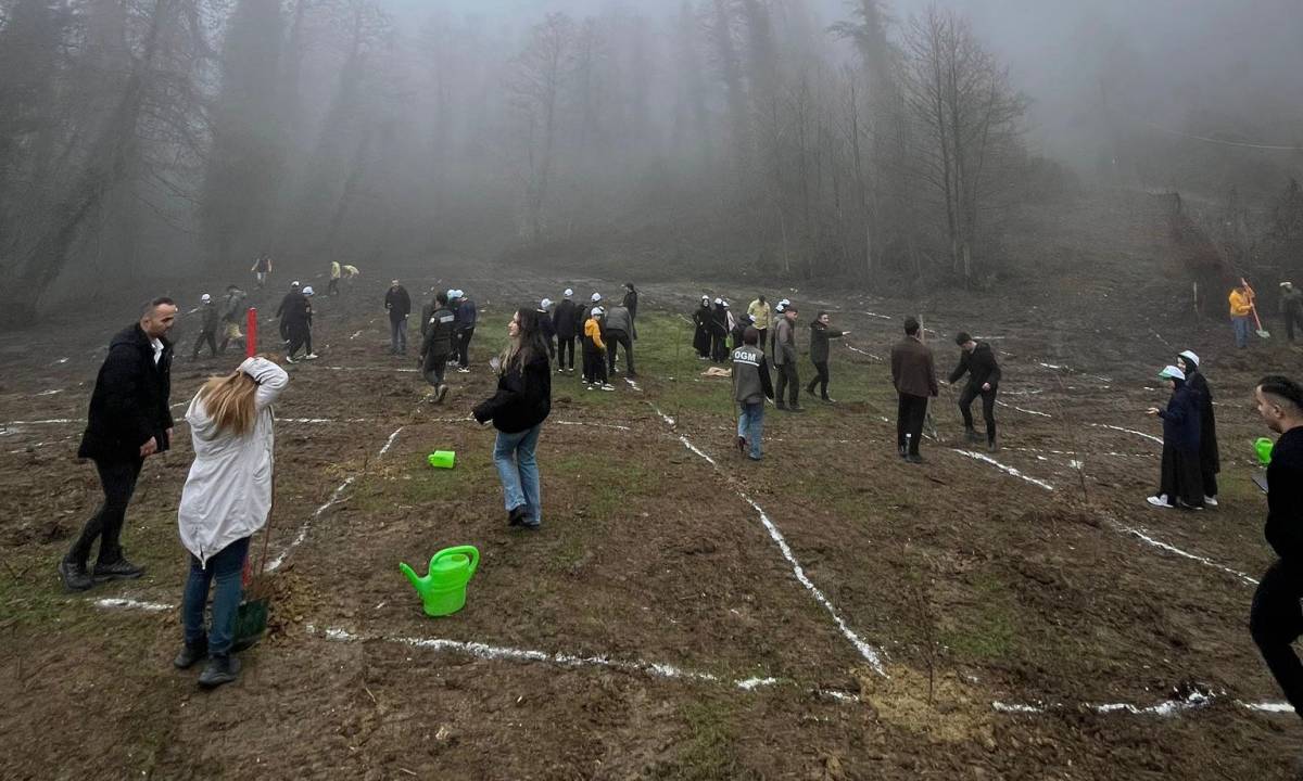 Türkeli'de fidanlar toprakla buluşturuldu