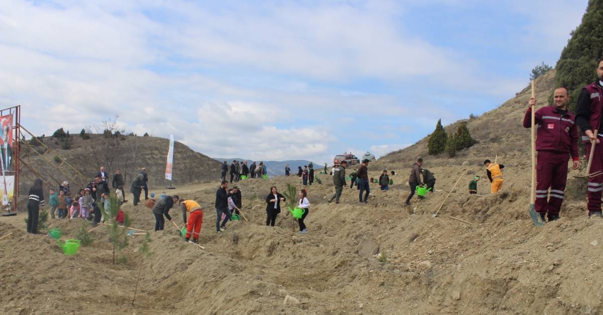 Boyabat'ta fidanlar toprakla buluştu