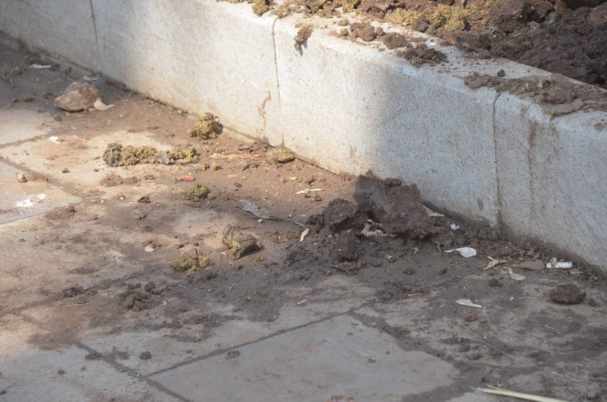 Sinop’un kalbinde 'Çamur' görüntüsü: Vatandaş tepkili